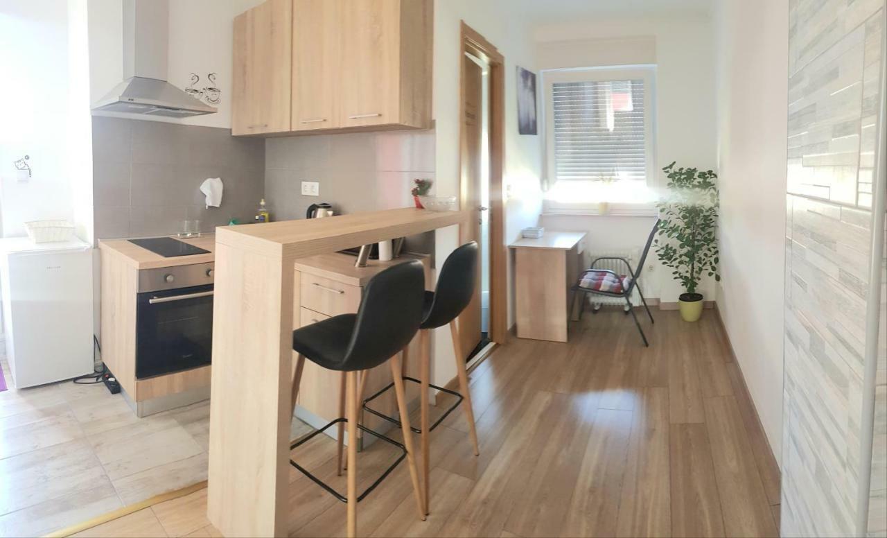 Penthouse Spudic Karlovac Apartment Ngoại thất bức ảnh